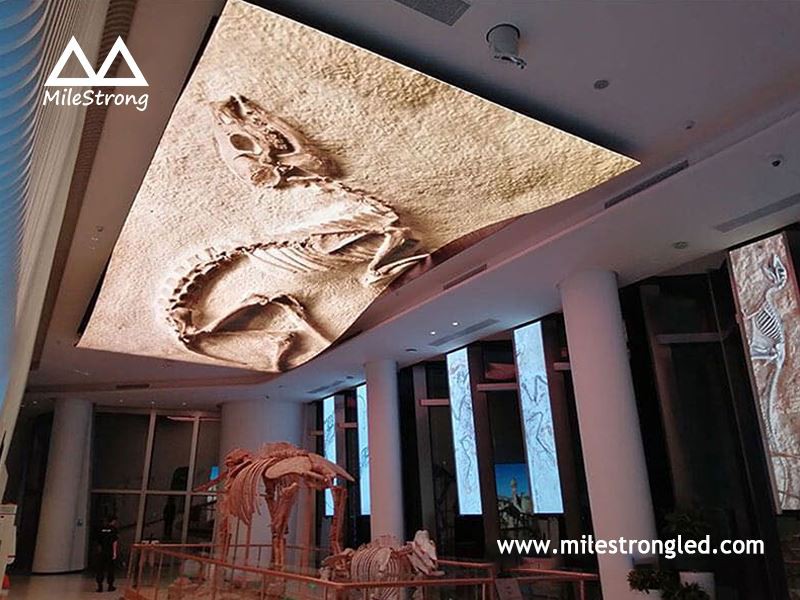 flexible display solution2